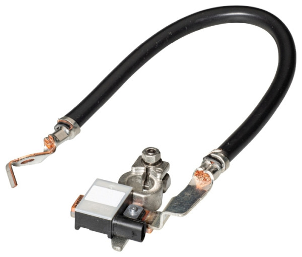 HELLA Sensor, Batteriemanagement, 12V, geschraubt, Kabel: 355mm, 6PK 013 442-901