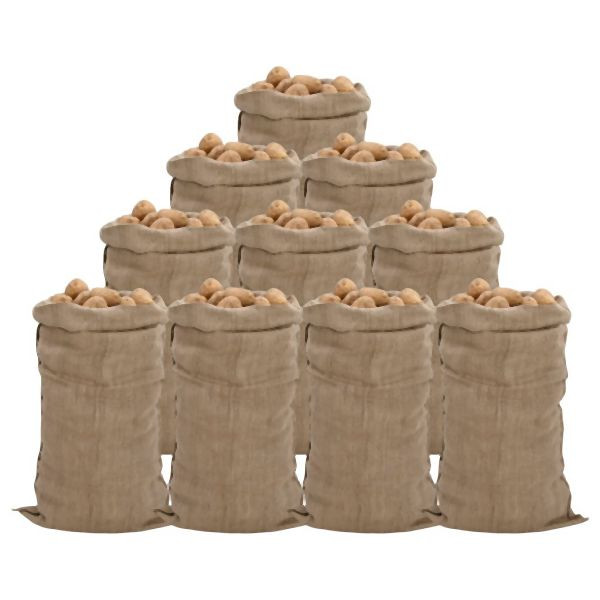 vidaXL Jutesäcke 10 Stück 65x135 cm 100% Jute 340 g/m², 155786