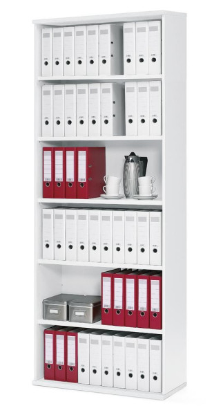 Deskin Regal Multi M pro, Dekor weiß, B 1000 x H 2250 x T 420 mm, 294430