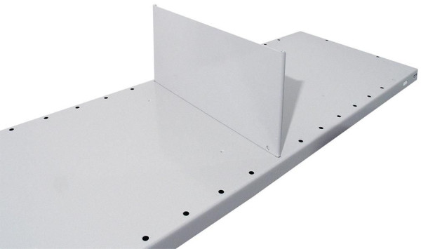 Schulte Stecktrennblech freistehend, 500 x 140 mm (T x H), RAL 7035 lichtgrau für MULTIplus150-Fachböden, 32382-25