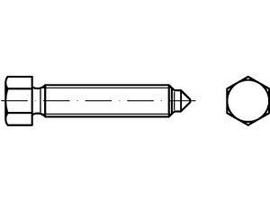 Sechskantschrauben DIN 564 22H / 8.8 AM 16 x 50 SW 19 VE=S (25 Stück)