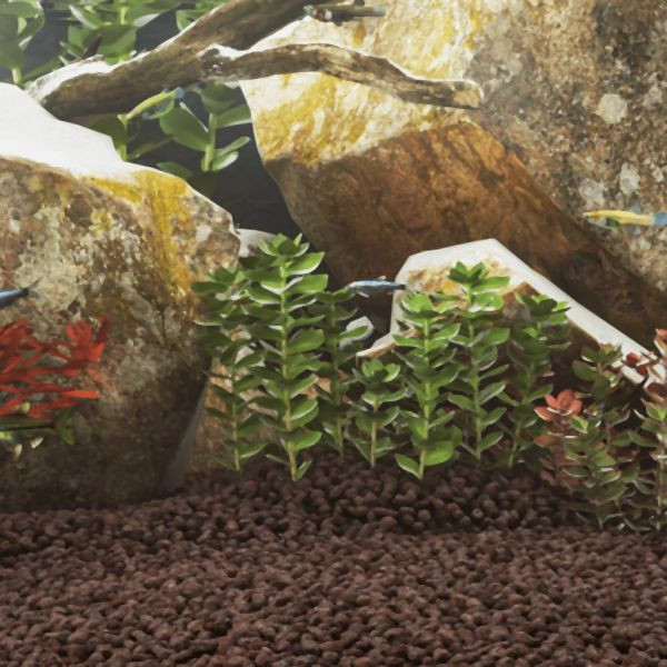 vidaXL Lavagranulat 25 kg Rot 1-2 cm Abmessung, 155312, 8721012106499