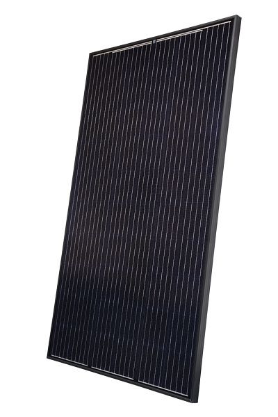 Heckert Solar Solarmodul NeMo® 2.0 60 M 325 AR (A) Black MC4, 19632510010160