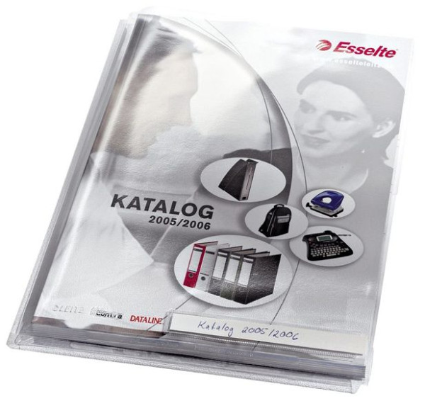 LEITZ 4053 Maxi Sichthülle A4 mit Beschriftungsfenster, genarbt, 0,20 mm, Fenster unten, 4053-00-00