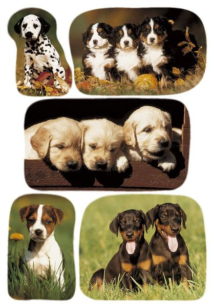 HERMA 3528 Sticker DECOR Hundewelpenfotos, VE: 10 Stück, 3528, 4008705035286