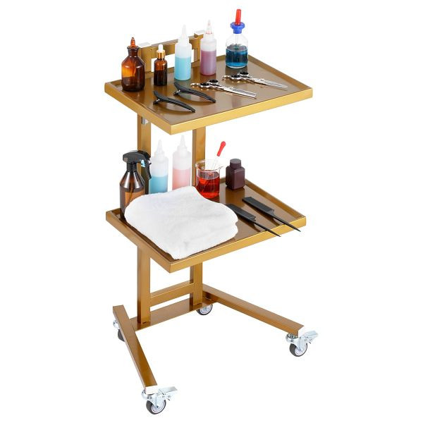 VEVOR 2-stöckiger Laborwagen Servierwagen Edelstahl 2 Tabletts Rollbar Golden, SYSTCECKFYS4QES24V0