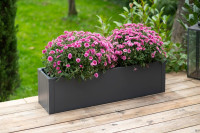 Produktbild von Westmann Metall Pflanzkübel Talus M, Anthrazit, 25x100x27cm, WMHPS-271025 Westmann Metall Pflanzkübel Talus M, Anthrazit, 25x100x27cm, WMHPS-271025