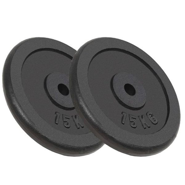 vidaXL Hantelscheiben 2 Stück 2x15 kg Gusseisen, 91396