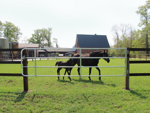Growi FN-Weidetor verstellbar, 105-170 cm Länge, 19900200