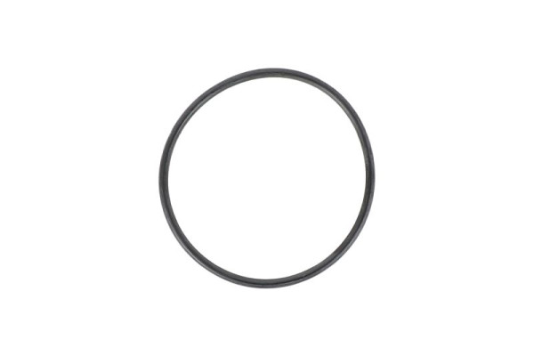 Mirka O-Ring MPP1316 für PBS 10, 8995103161