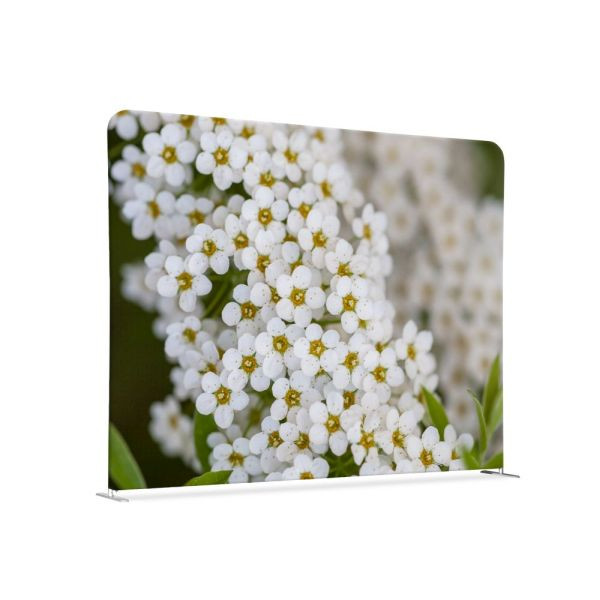 Showdown Displays Textil Raumteiler 200-150 Doppel Weiße Blume Spirea, ZWS200-150SSK-DSI3