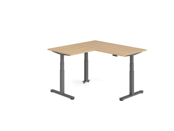 Hammerbacher Sitz-Steh-Winkeltisch 160x160cm Eiche/Graphit, VXDSMW1608/E/G