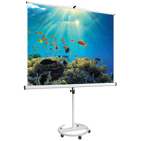 Magnetoplan Stativ-Leinwand mobil, Größe: 2000 x 2000 mm, 6100316