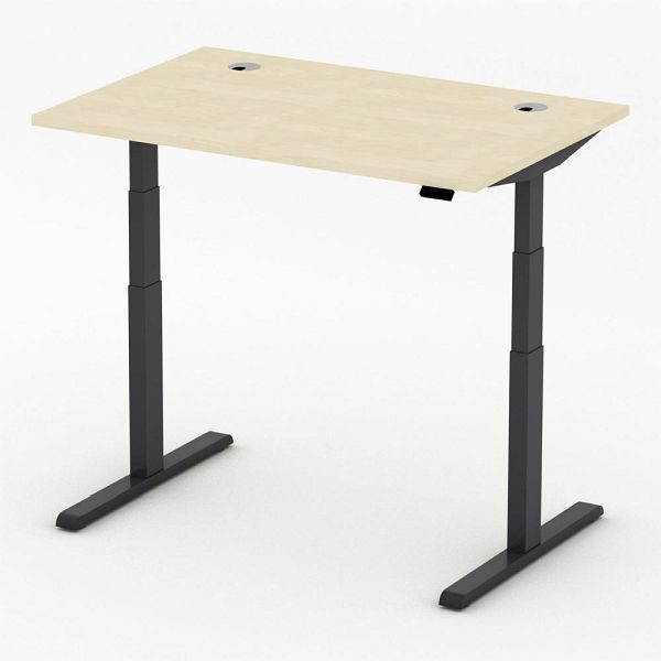 Deskin Höhenverstellbarer Schreibtisch PRO MULTI MODUL, Ahorndekor, B 1200 x T 800 x H 640-1250mm, 360301