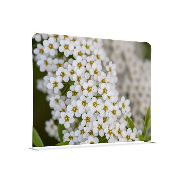 Showdown Displays Textil Raumteiler 150-150 Doppel Weiße Blume Spirea, ZWSE150-150SSK-DSI3