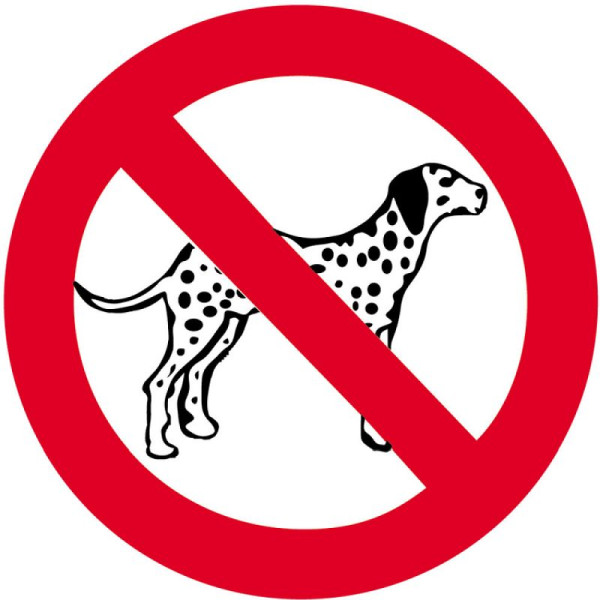 Stein HGS Sonderschild, Hundeverbot, Ø 600 mm, Piktogramm: schwarz, 15712