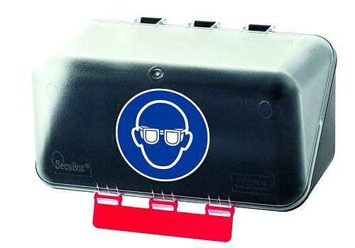 DENIOS Minibox zur Aufbewahrung von Augenschutz, transparent, 116-476