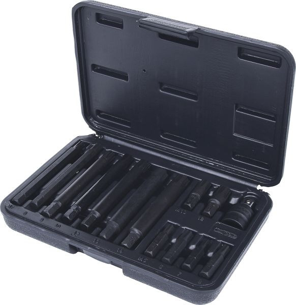 KS Tools 5/16" RIBE® Bit-Satz, 14-teilig, 911.4306, 4042146053423