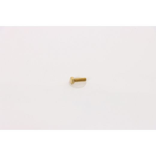 ELMAG Messing-Schraube M5x16 für Induktionsheizkopf-Befestigung, 9508260