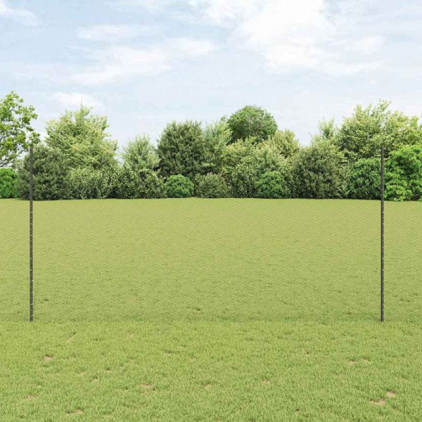 vidaXL Zaun mit Pfosten Grau 1.6 x 100 m Stahl, 3336943