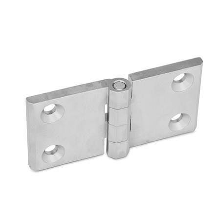 Ganter Edelstahl-Scharniere, mit horizontal verlängerten Scharnierflügeln (GN 237-NI-120-60-A-GS), VE: 5 Stück, 237-NI-120-60-A-GS