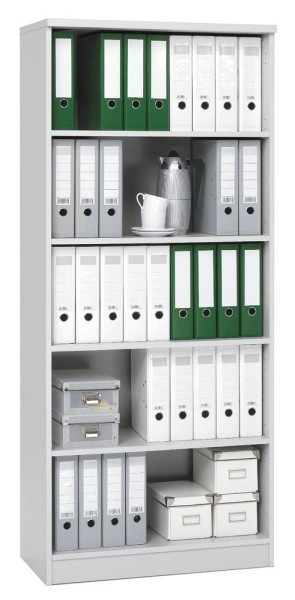 Deskin Regal MULTI M, Dekor weiß, B 800 x H 1835 x T 420 mm, 258501