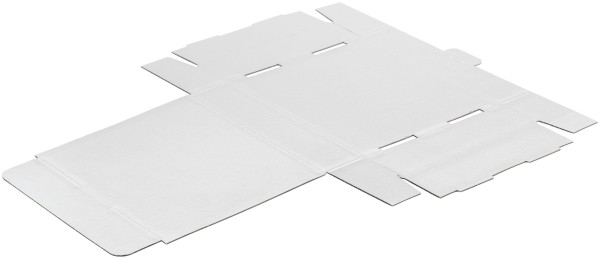 REMS Karton weiss, 570287 N, 4039976126656