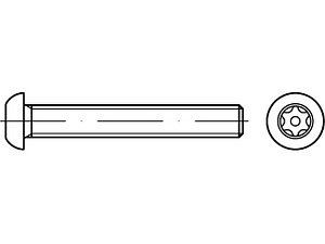 ART 88116 Diebstahlhemmende Schrauben (I7380) A 2 M 5 x 30 mit PIN-ISR T25 VE=S (100 Stück)