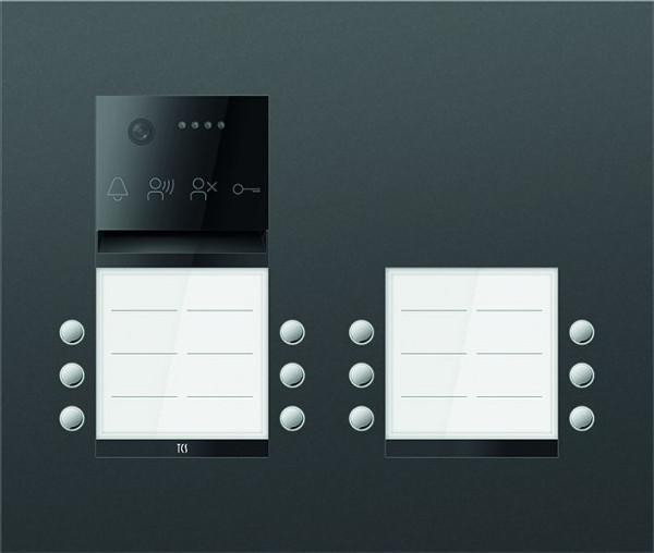 TCS Türkontrollsystem PES PRO IP Video Außenstation 12T 4 Spalten UP RAL7016 anthrazitgrau, AVU400412-0017