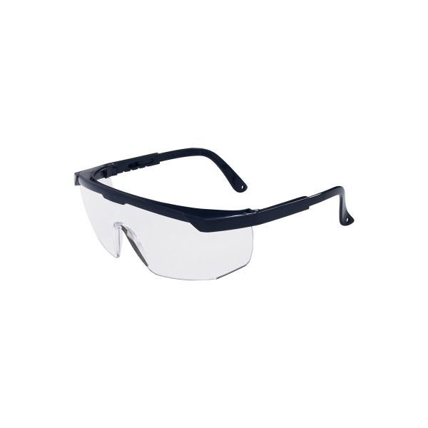L+D PANORAMA Vollsichtbrillen, EN 166F, farblose PC-Sichtscheiben, beschlagfrei, blauer Rahmen, Bügel verstellbar, VE: 12 Stück, 2668