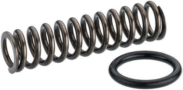 Hazet Feder Satz, mit Stützring, 9037SPC-012/3, 4000896236954