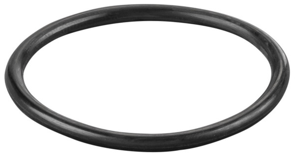 REMS O-Ring, Maße (LxBxH): 50 x 50 x 2 mm, Gewicht: 0,002 kg, 060019