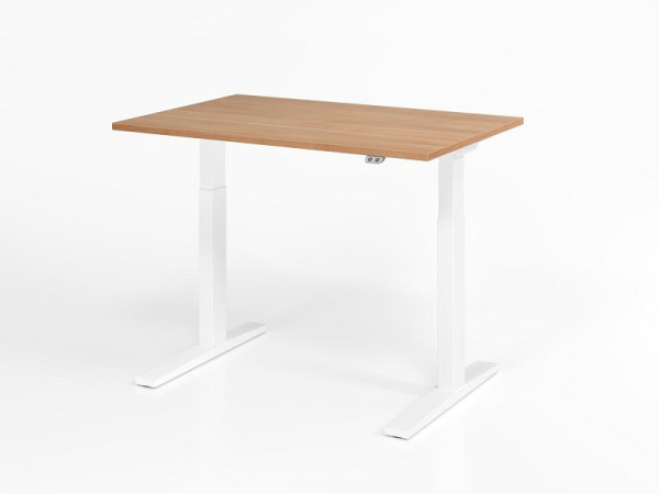Hammerbacher Schreibtisch XMKA12, 120 x 80 cm, Platte: Nussbaum, 25 mm dick, ABS-Dickkante, Rechteckform, Weiß, VXMKA12/N/W