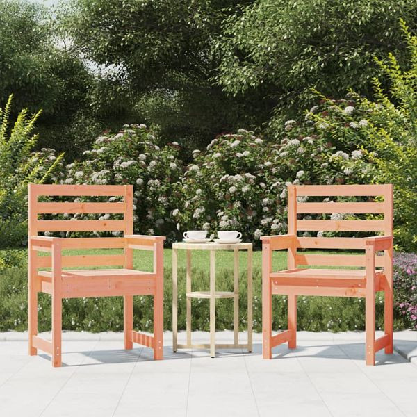 vidaXL Gartenstühle 2 Stk. 60x48x91 cm Massivholz Douglasie, 824058