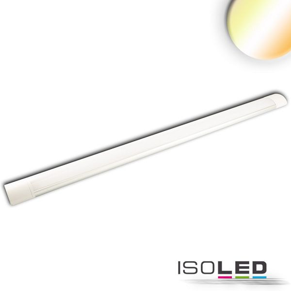 ISOLED LED Aufbauleuchte 120cm, 40W, IP42, Color Switch 3000/3500/4000K, 114065