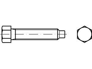 Sechskantschrauben DIN 561 22H / 8.8 BM 16 x 70 SW 19 VE=S (10 Stück)