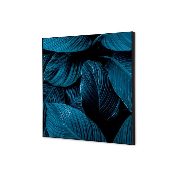 Showdown Displays Spannstoff Wanddekoration SET 40 x 40 Botanische Blätter Blau, TFR22W400-SET-I20