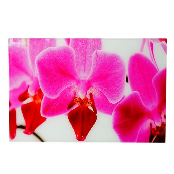 Mendler Glasbild T116, Wandbild Poster Motiv, 40x60cm, Orchidee, 34251