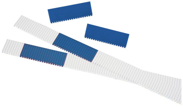 Eichner Namens- und Bezeichnungsschilder für Einstecktafel, blau, VE: 50 Stück, 9085-00100