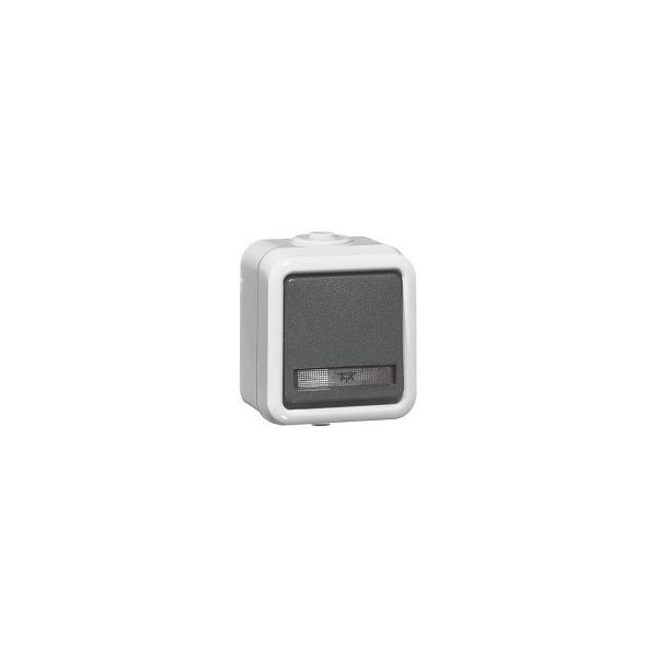 PEHA Wipptaster grau 1S AP IP54 glänzend D655WAB, 120245