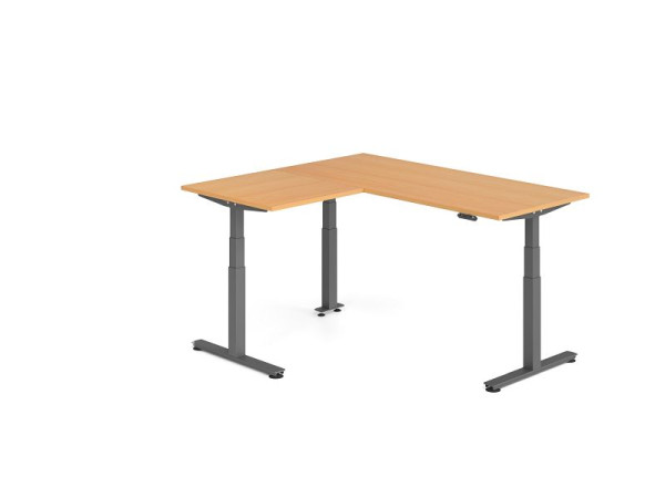 Hammerbacher Sitz-Steh-Winkeltisch 160x180cm Buche/Graphit, VXDSMW1908/6/G