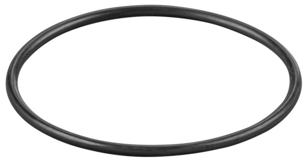 REMS O-Ring, Maße (LxBxH): 50 x 50 x 2 mm, Gewicht: 0,001 kg, 060020