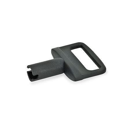 Ganter Schlüssel für Verriegelungsbolzen GN 816.1 (GN 816.1-10), VE: 50 Stück, 816.1-10