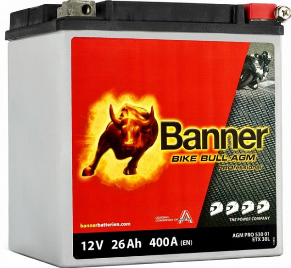 Banner Bike Bull AGM PROfessional 530 01 / ETX30L Erstausrüsterbatterie, absolut wartungsfrei, 024530010101