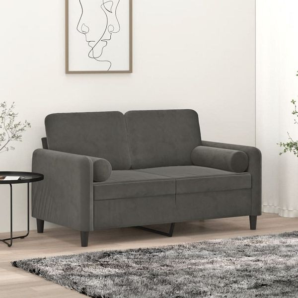 vidaXL 2-Sitzer-Sofa mit Kissen Dunkelgrau 120 cm Samt, 3153082