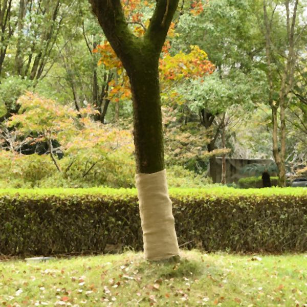 vidaXL Jutegewebe 1x50 m 100% Jute 200 g/m², vielseitig, 155804