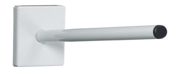 bott perfo Haltedorn Länge 300 mm für Schlitzplatten D 16 BxTxH: 68x320x77 mm, RAL 7035, 14022025.16