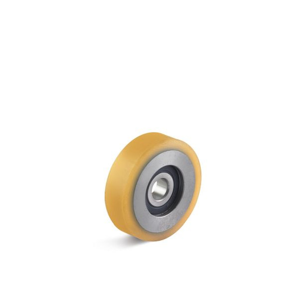 Torwegge Führungsrolle, FVUS-050-15-09-K10, 0028251