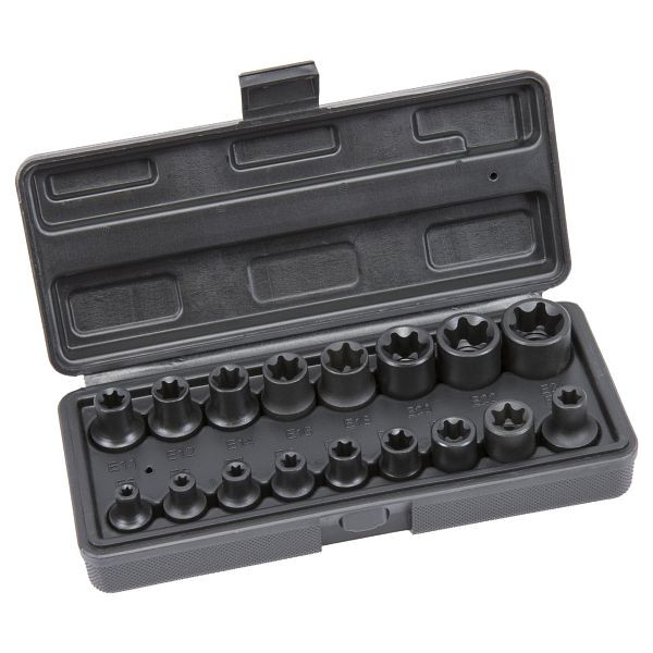 RepTools Steckschlüssel-Einsatz-Set, E-Profil für Torx-Schrauben, 3/8", 1/2" SW E5-E24, 17-tlg, XXL-118900