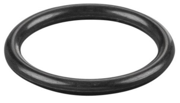 REMS O-Ring, Maße (LxBxH): 20 x 20 x 2 mm, Gewicht: 0,0002 kg, 060143